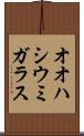 オオハシウミガラス Scroll