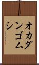 オカダンゴムシ Scroll