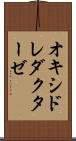 オキシドレダクターゼ Scroll