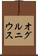 オグルニウス Scroll