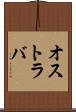 オストラバ Scroll