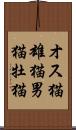 オス猫 Scroll