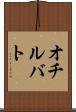 オチルバト Scroll