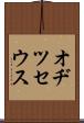 オヂツセウス Scroll