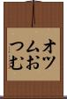 オツム Scroll