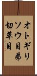 オトギリソウ目 Scroll