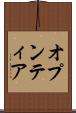 オプンティア Scroll