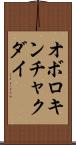 オボロキンチャクダイ Scroll