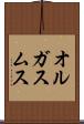 オルガスムス Scroll