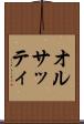 オルサッティ Scroll