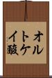 オルトケイ酸 Scroll