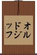 オルドジッフ Scroll