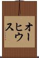 オーヒウス Scroll