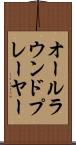 オールラウンド・プレーヤー Scroll