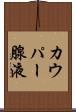 カウパー腺液 Scroll