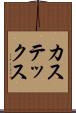 カステックス Scroll