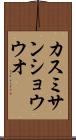 カスミサンショウウオ Scroll