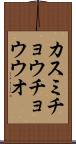 カスミチョウチョウウオ Scroll