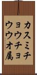 カスミチョウチョウウオ属 Scroll