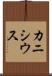 カニシウス Scroll