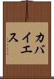 カバイエス Scroll