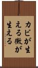 カビが生える Scroll
