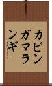 カピンガマランギ Scroll