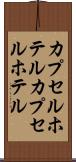 カプセルホテル Scroll