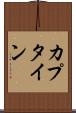 カプタイン Scroll