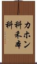 カホン科;禾本科 Scroll