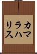 カマラハリス Scroll