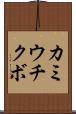 カミウチクボ Scroll