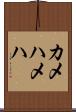 カメハメハ Scroll
