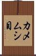 カメムシ目 Scroll