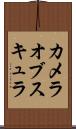 カメラオブスキュラ Scroll