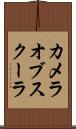 カメラオブスクーラ Scroll