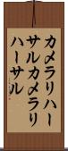 カメラリハーサル Scroll