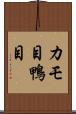 カモ目 Scroll