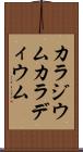 カラジウム Scroll