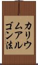 カリウムアルゴン法 Scroll