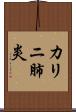 カリニ肺炎 Scroll