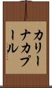 カリーナカプール Scroll