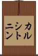カルシトニン Scroll
