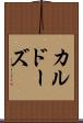 カルドーズ Scroll