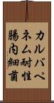 カルバペネム耐性腸内細菌 Scroll