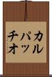 カルパッチオ Scroll