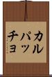 カルパッチョ Scroll