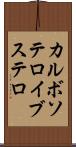 カルボソテロイブステロ Scroll