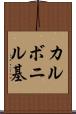 カルボニル基 Scroll