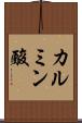 カルミン酸 Scroll